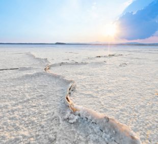larnaka salt lake