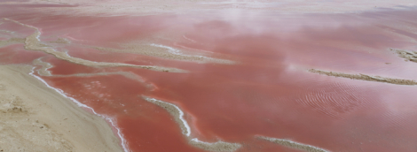 las coloradas 2