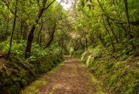 Levada do Caldeirão Verde