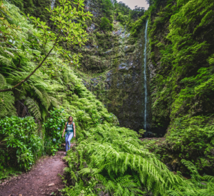 madeira Levada do Caldeirão verde
