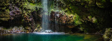 madeira Levada do Caldeirão verde1