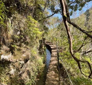 Levada do Caldeirão Verde 3