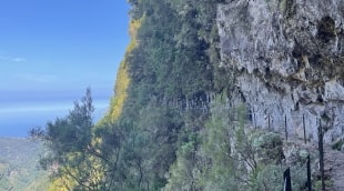 Levada do Caldeirão Verde 8
