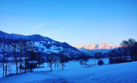 zell am see saule 6810