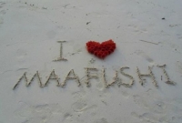 filename moshi s photos