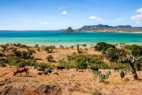 madagaskaras
