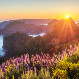 iStock 2163113712