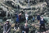 madeira draugai levados 9765