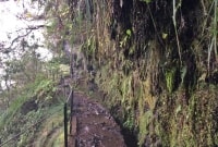 levada takas 9776