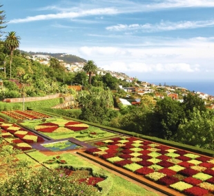 madeira2