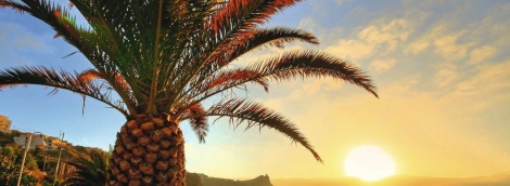madeira4