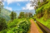 Madeira levada