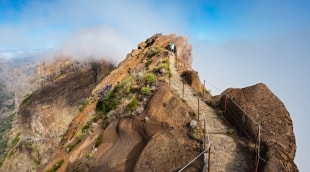 Pico Ruivo madeira virsune