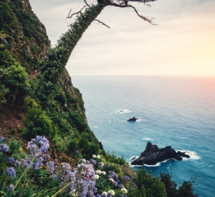 madeira portugalija