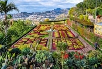 Madeira botanikos sodas