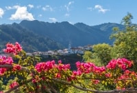 Madeira Sao Vicente