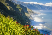 madeira3