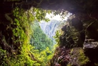 caldeirao verde levada kelias 15425