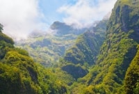 caldeirao verde levada vaizdas 15427