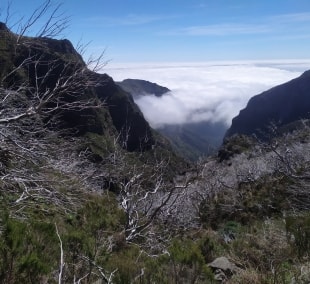 IMG 20210417 114459     