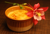 creme brulee