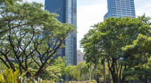 manila makati 1