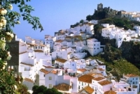 malaga5