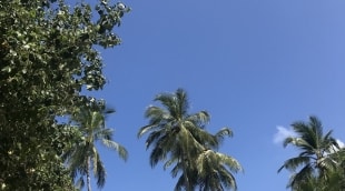 image3 (1)