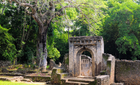 Ruins of a Swahili town