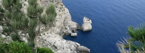maljorka