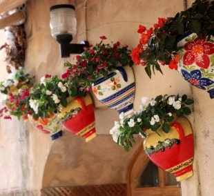 Valdemosa, geles