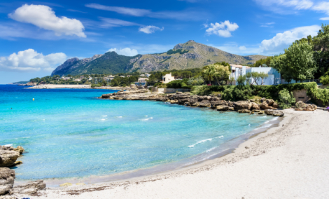maljorka alcudia
