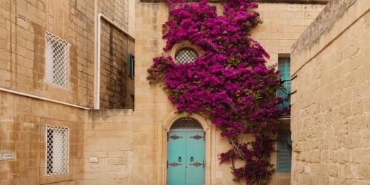 mdina malta