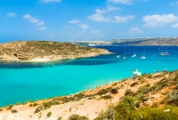 gozo 958