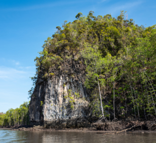 kilim geoforest park2