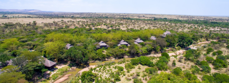 MaraSimba aerial