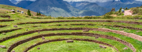 Moray 