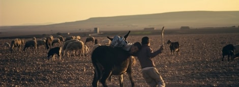 47 vaikai zaidzia su asilu p girdziuso foto 13460