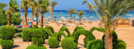 marsa alam papludimys 2