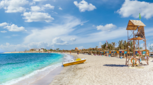 marsaalam papludimys