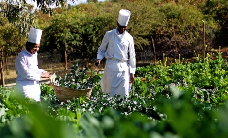 Masai Mara Sopa Lodge sodas