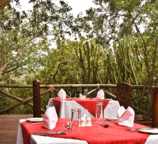 Masai Mara Sopa Lodge staliukai