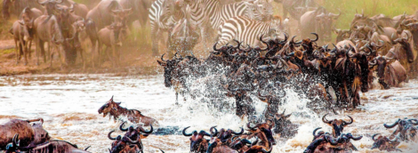 Masai Mara 3