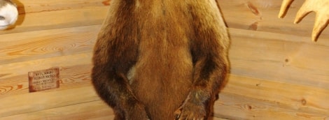 poilsis moletuose medziokles muziejus meska 9190