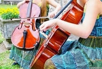 poilsis druskininkuose smuikas prie baznycios 8863