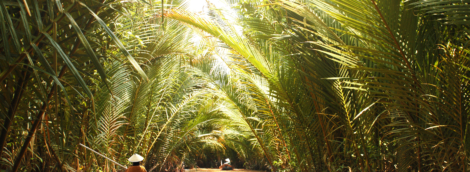 mekongo delta plaukimas