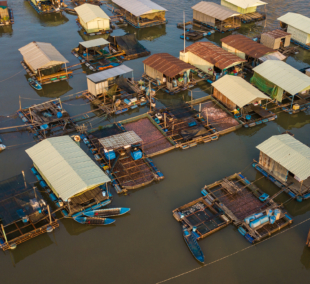 pluduriuojantys namai