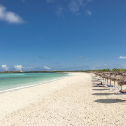 MELIÁ JARDINES DEL REY papludimys