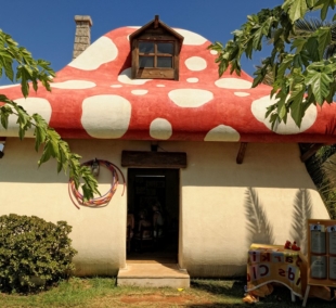 Meropi Hotel & Apartments mini vlub