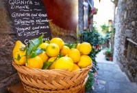 Sicilija citrinos